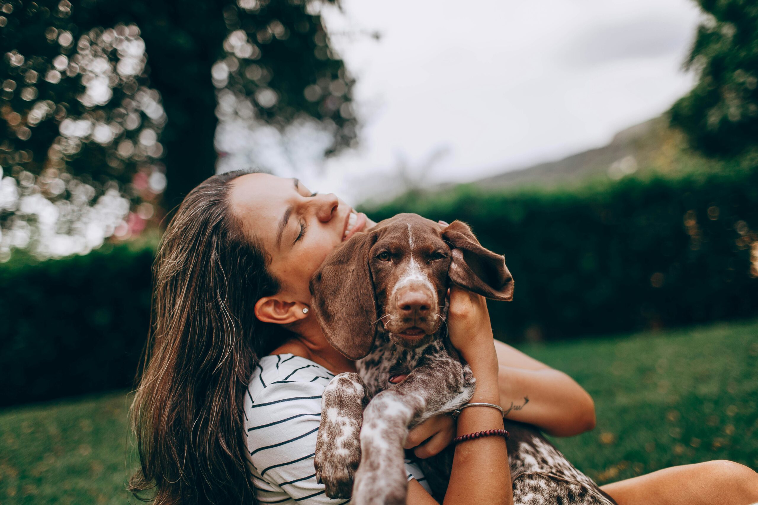 犬の飼い方